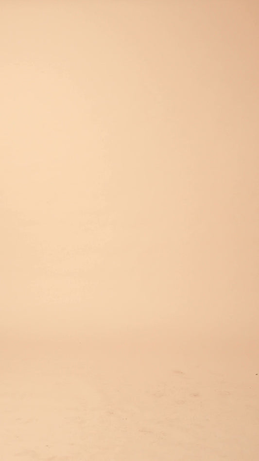 Off White Floral Printed Cotton Top